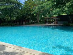 -瑰丽酒店·海吧·天际下午茶·现场DJ·天台酒吧