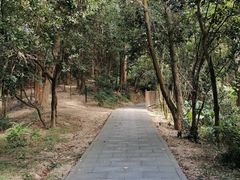 -火炉山森林公园