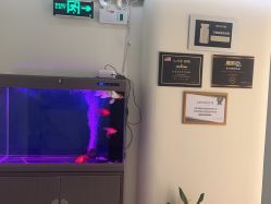 -海涛医疗美容·面部抗衰·注射美鼻