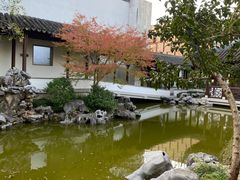 -秋霞圃