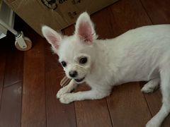 -美联众合24小时·皮肤科·外科·全科诊疗中心(华苑分院)