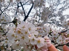-堤角公园