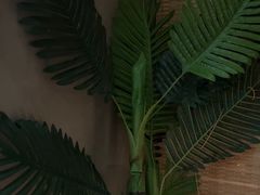 -施奈儿.洗头頭療.按摩SPA.采耳(上梅林店)