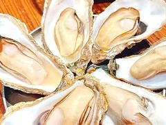 -蚝堡海鲜·威海菜·海肠捞饭·烧烤·亚洲吃蚝公司(幸福门店)