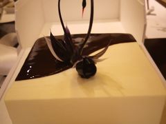 -BLACKSWAN黑天鹅(环球店)