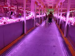 -三旗百汇商品城