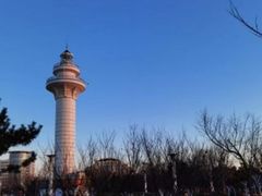 -渡海小渔村.老辈日照菜