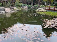 -昆明洲际酒店