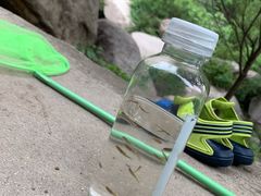 -碓臼峪自然风景区