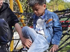 -上海海湾国家森林公园