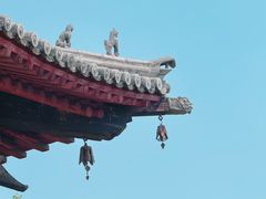 -善化寺