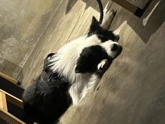 -晃晃悠悠酒肉合作社