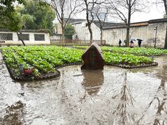 -绍兴鲁迅故里·沈园景区