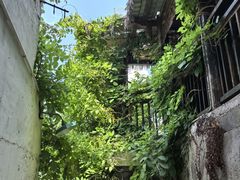 -磁器口古镇