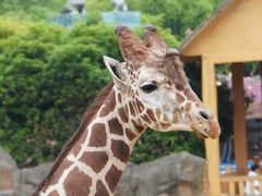 -杭州野生动物世界