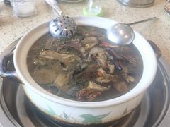 -杨记山珍鸡煲菌汤锅