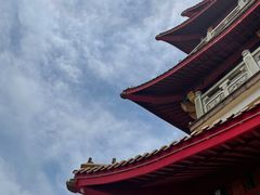 -奉贤海滩