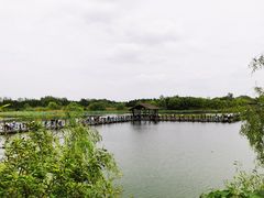 -溱湖国家湿地公园