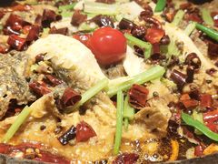 -老板恋上鱼(恒隆广场店)