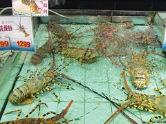 水产区-渔民新村(番禺总店)