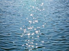 -济南国际园博园