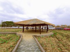 -MUSEO COFFEE咖啡博物馆