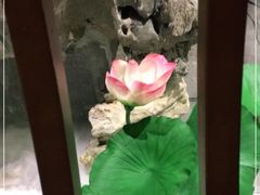 -东门头·江鲜小馆(新天地店)