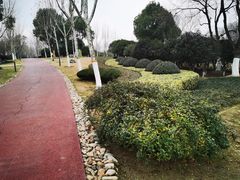 -滨湖塘西河公园