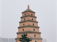-大慈恩寺(大雁塔)
