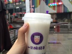 -一只酸奶牛(八一路店)