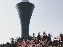 -狐尾山公园
