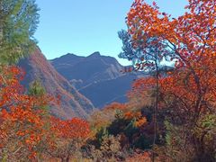 -周口店坡峰岭风景区