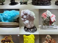 -陕西自然博物馆