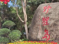 -野狸岛