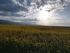 -青海湖国家重点风景名胜区