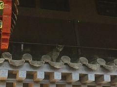 -老北京风情街