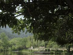 -黄陂区野村谷景区