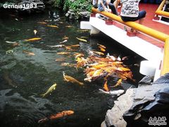 -广州白天鹅宾馆