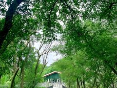 -西湖风景区-江洋畈生态公园