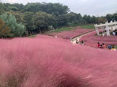 -牛岗山公园