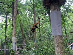 -杭州少年儿童公园