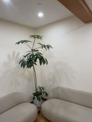 -HEYAN荷妍专业脱毛连锁机构