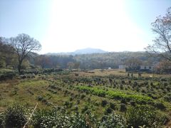 -塔川景区