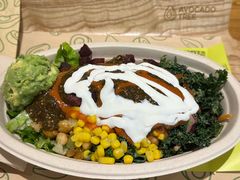 -油梨树 AVOCADO TREE(亮马桥店)