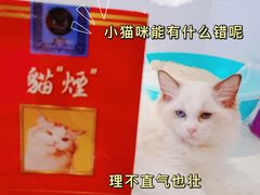 -龟与熊猫宠物公园(南坪店)