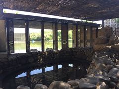 -春晖园度假酒店温泉