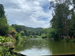 -深圳仙湖植物园