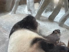 -宁波野生动物园