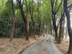 -福神岗公园