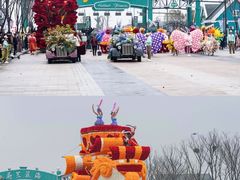 -荷兰花海